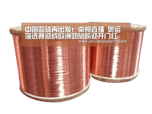 中国篮球再出发!央视直播 奥运落选赛迎战欧洲劲旅盼迎开门红_全球总决赛官网(图3) 世界赛官网